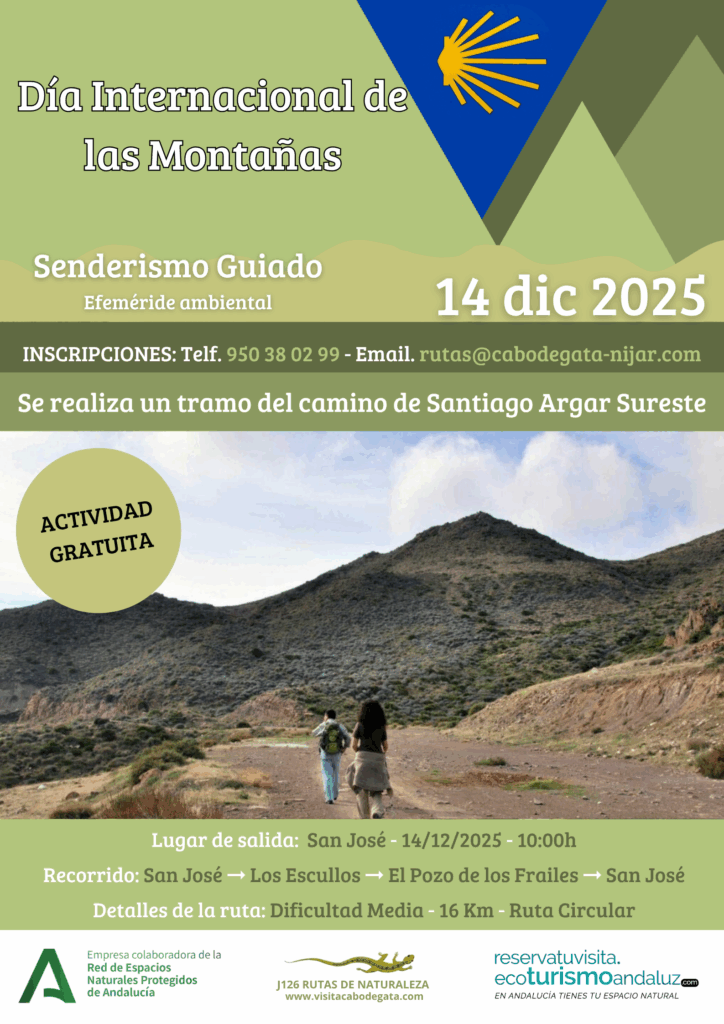 cartel dia de las montañas